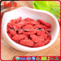 Goji organique de goji bacche de goji usine de baies de goji à Ningxia